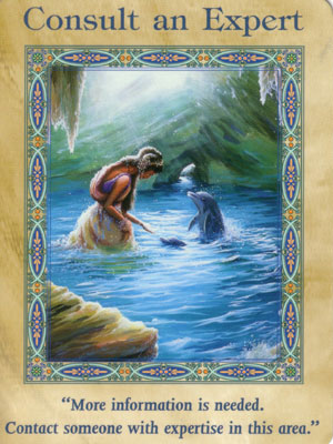 Consult an Expert Card Extended Description - Mermaids and Dolphins Oracle Cards by Doreen Virtue