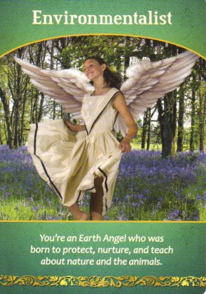 Environmentalist Oracle Card Extended Description - Life Purpose Oracle Cards by Doreen Virtue