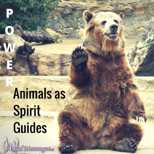 Power Animals as Spirit Guides