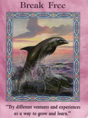 Break Free Card Extended Description - Mermaids and Dolphins Oracle Cards by Doreen Virtue