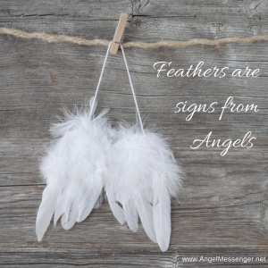 Feathers are Signs from Angels