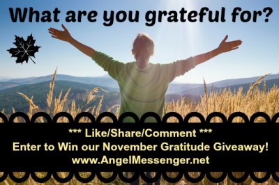 November Gratitude Giveaway 2013