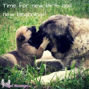 Time for birth and new beginnings astrology