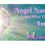 Angel Numbers and What They Mean for You