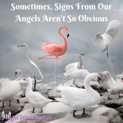 Interpreting Signs from Your Angels