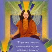 Raye Angel Card Extended Description - Messages from Your Angels Oracle Cards by Doreen Virtue