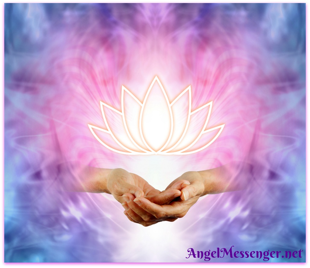 Sacred Lotus Image