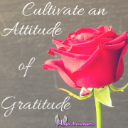 cultivate an attitude of gratitude